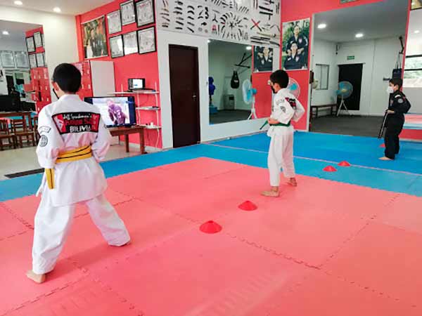 cursos de artes marciales